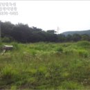 장은보건진료소 네이버블로그