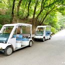 서울대공원 캠핑장 이미지