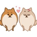 그루밍 샵 제제 네이버블로그