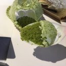 코코베이커리 이미지