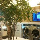 리가세탁 이미지