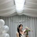 토이모이케이크