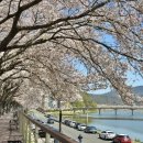 강변로(남천) 이미지