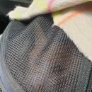 윤쌤동물병원 이미지