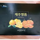 해를품은과일