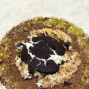 설빙 | 송촌동 두바이초코설빙 후기