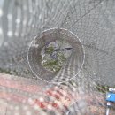 은행리낚시터 이미지