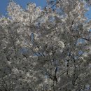 수원성첨성대한증막 이미지