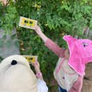 햇빛어린이집 이미지