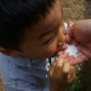 풀내음목장 이미지