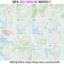 아트코스 퓨마 코스