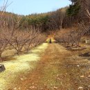 천마농장 이미지