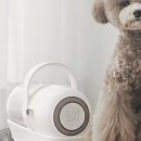 마이펫스토어 이미지