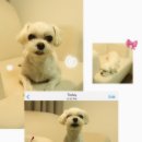 스튜디오썸브 네이버블로그