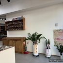 눈애안경 이미지