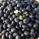 삼화농장 이미지