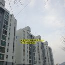 강남로(북) 이미지