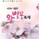 제주 신례리 왕벚나무 자생지 이미지