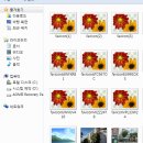 서운로 104 (4) 이미지