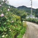 용두통닭 - 양평군 | 용두통닭