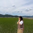 지지고안동 | 대문자 P 둘이서 떠나는 힐링 랜덤트립