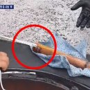 고향주유소 이미지