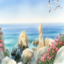 해당화피는아침 이미지