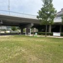 수영강 동천교 이미지