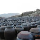 주창농원 티스토리