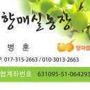 땅끝매실농장