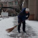 지혜로운 토끼는 굴을 세 개 뚫지요 !! 이미지