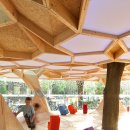 Fine Studio 이미지