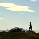 주식회사 아우라 이미지