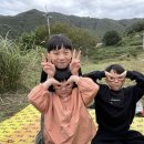 참샘길 | &lt;밀양 참샘허브나라 단감체험&gt; 솔직 후기: 가을철 아이와 가볼만한 곳