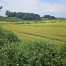 남산리농장 이미지