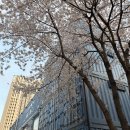 핑크아트 | 문정역네일추천 봄네일아트 삼공네일 핑크 프렌치 후기