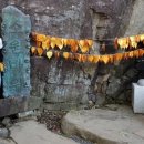 치성농장 이미지