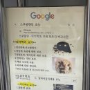 스몰윈도우스쿠알렌 - 목포시 청호로 116 | 스몰윈도우스쿠알렌