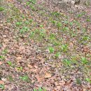 병옥농장 이미지