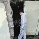 대윤 2농장 네이버블로그