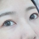 입문용 혼혈렌즈 추천! 젬아워 키오네 올리브 그레이 후기