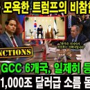 "한국을 모욕한 트럼프의 비참한 최후" 러시아·GCC 6개국, 일제히 등 돌렸다!이재명, 1,000조 달러급 소름 돋는 반격! 이미지