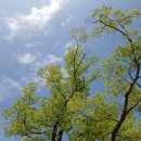 도담셀프주유소 이미지