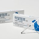 카카오N동물병원 데일리벳