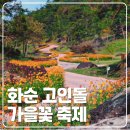 화순고인돌유적지(박씨제각) | 2024년 전남 화순 고인돌 가을꽃 국화축제 초대 가수 위치 셔틀버스 탐방버스 안내