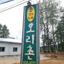 [속초 오리고기 맛집] 송가네 오리촌 – 자연과 맛, 정성이 만난 최고의 경험