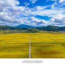 리틀포레스트 촬영지 이미지