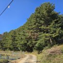 구난이 약나무 마을 | 210.충청남도 공주시 이인면 구암리마을숲