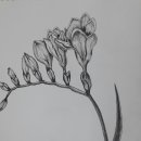 아미동 주민센터 이미지