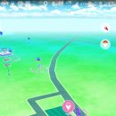 호원태권도체육관 이미지